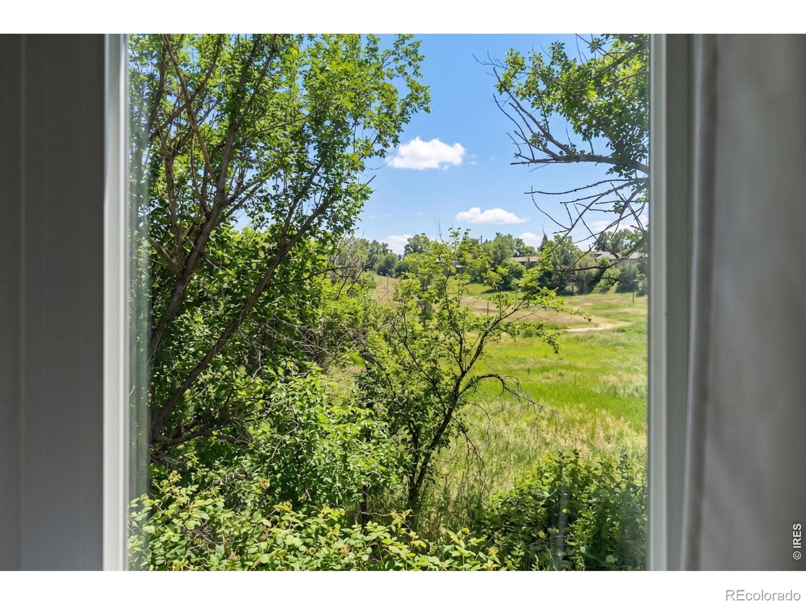 MLS Image #13 for 1116  oak circle,lakewood, Colorado