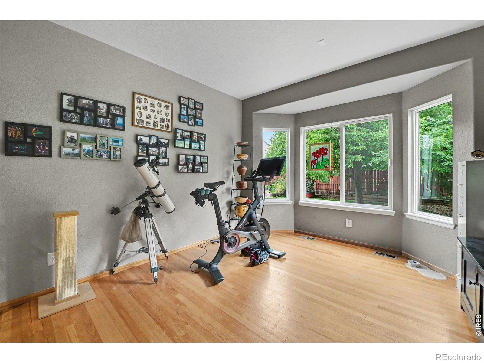MLS Image #31 for 1339  forrestal drive,fort collins, Colorado