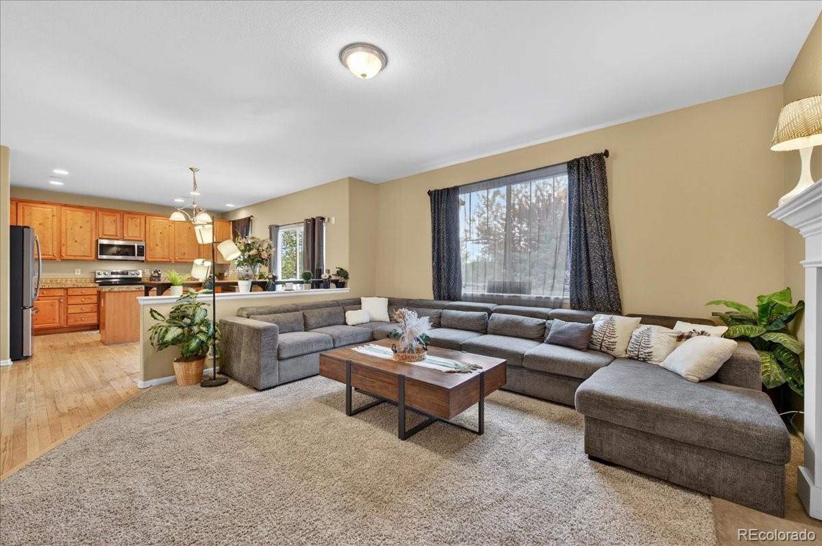 MLS Image #13 for 2955  night song way,castle rock, Colorado