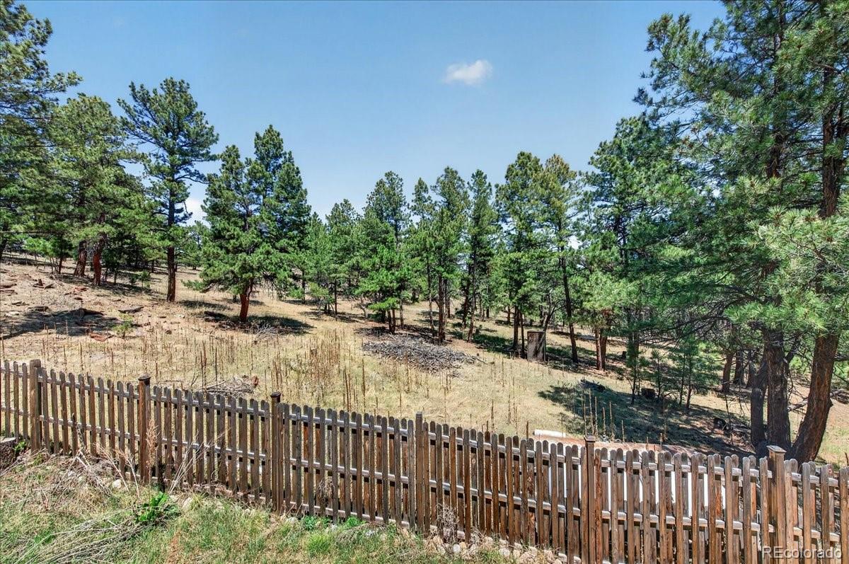 MLS Image #39 for 22759  amethyst road,deer trail, Colorado