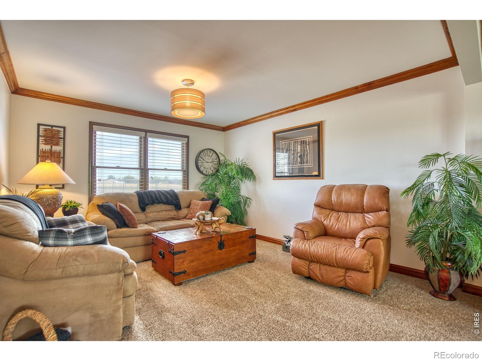 MLS Image #16 for 3363  lowell lane,erie, Colorado