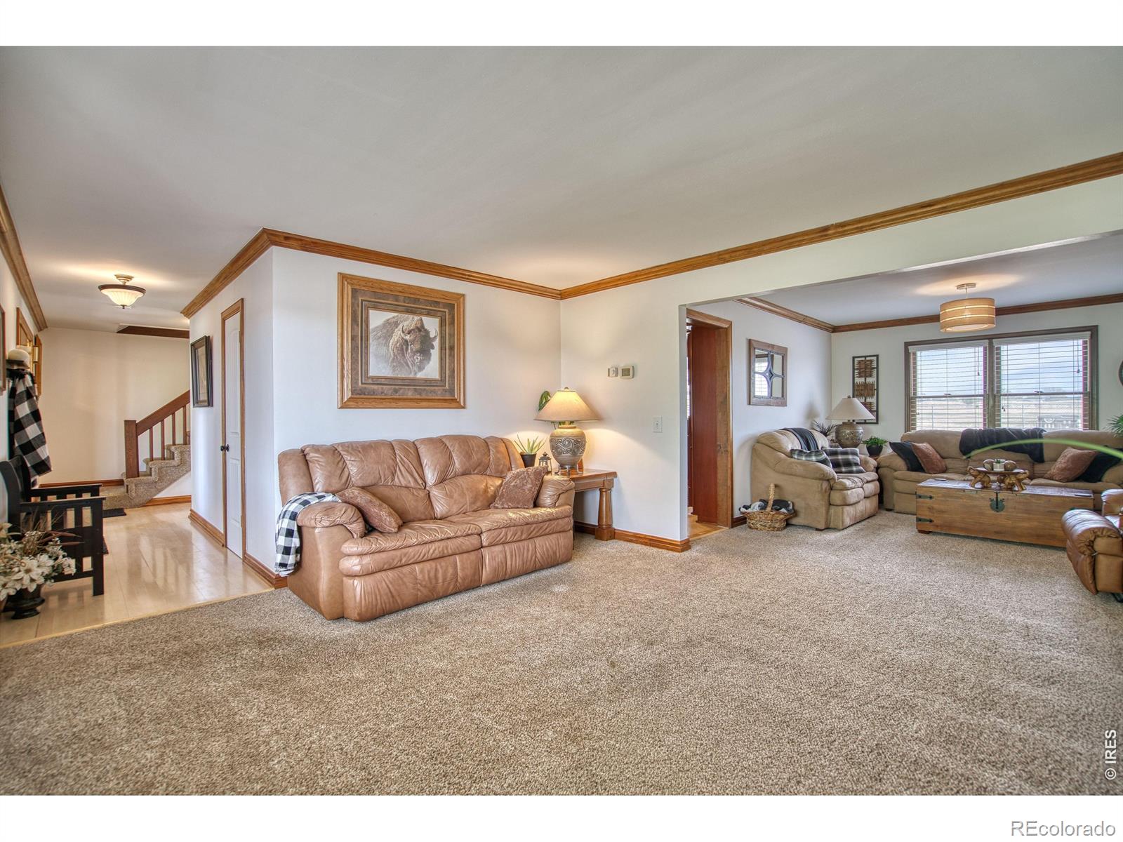 MLS Image #19 for 3363  lowell lane,erie, Colorado