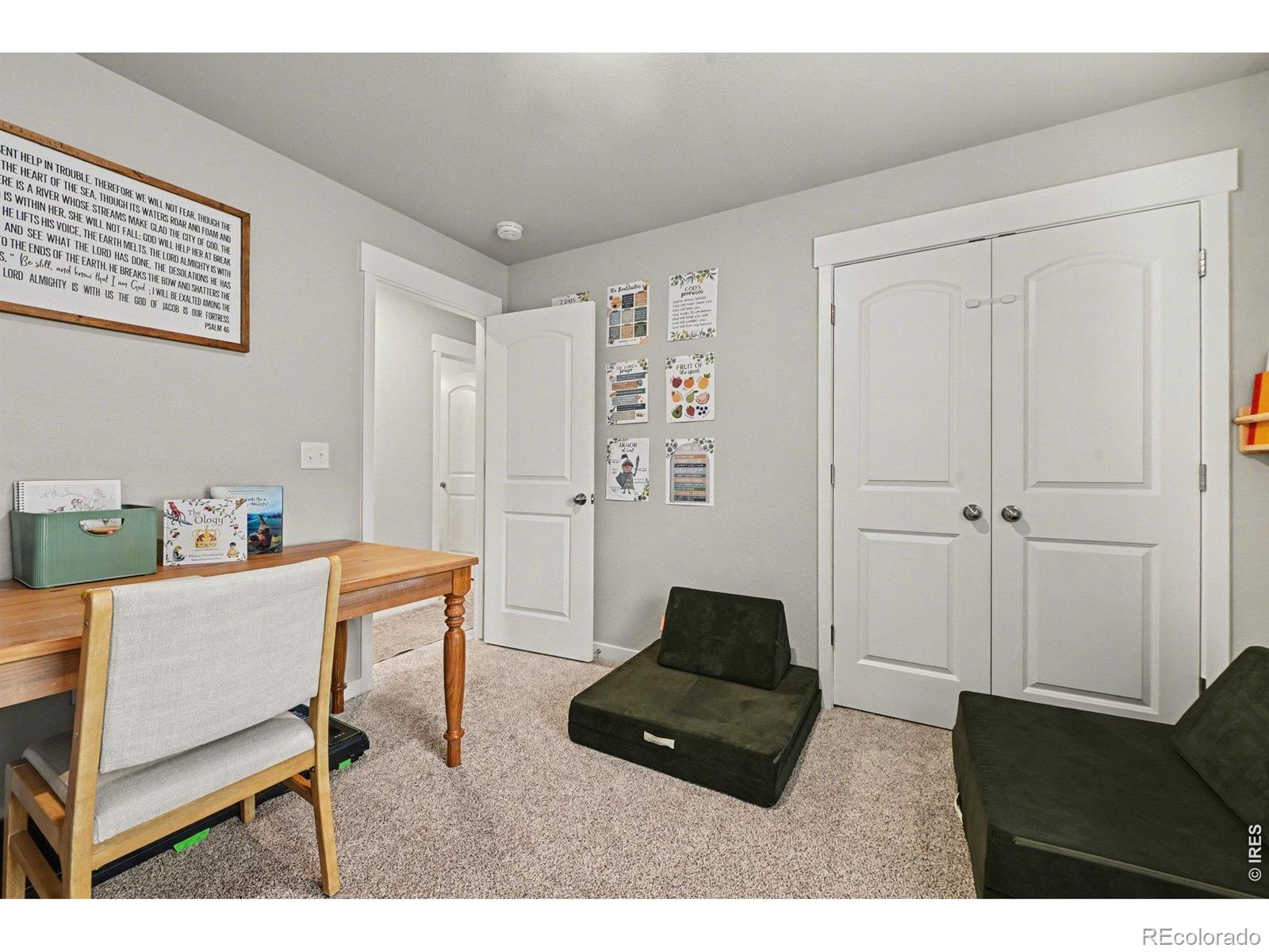 MLS Image #28 for 4490  haymill court,timnath, Colorado