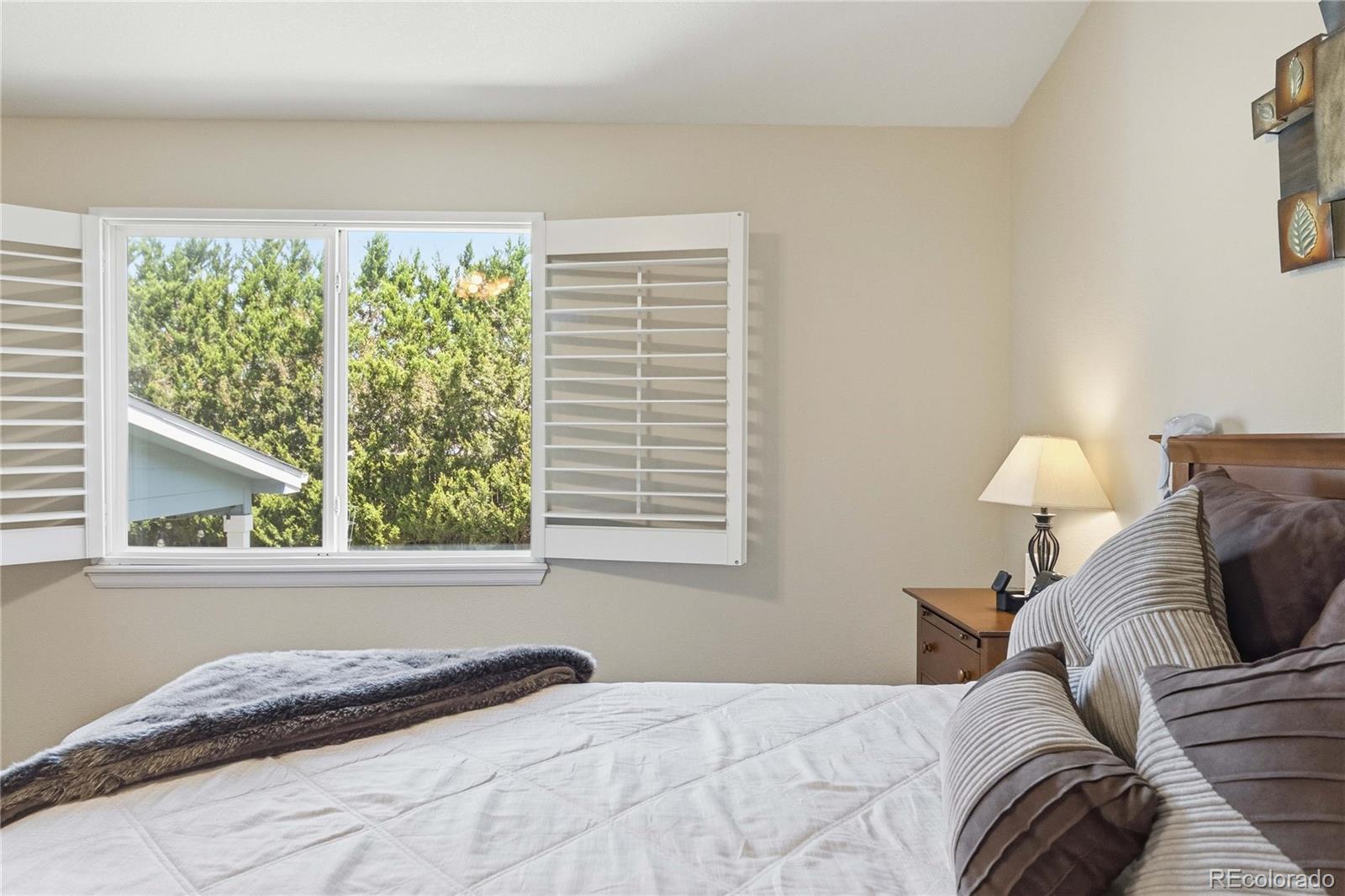 MLS Image #24 for 23981  glenmoor drive,parker, Colorado
