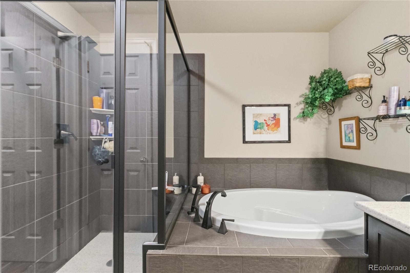 MLS Image #26 for 23981  glenmoor drive,parker, Colorado