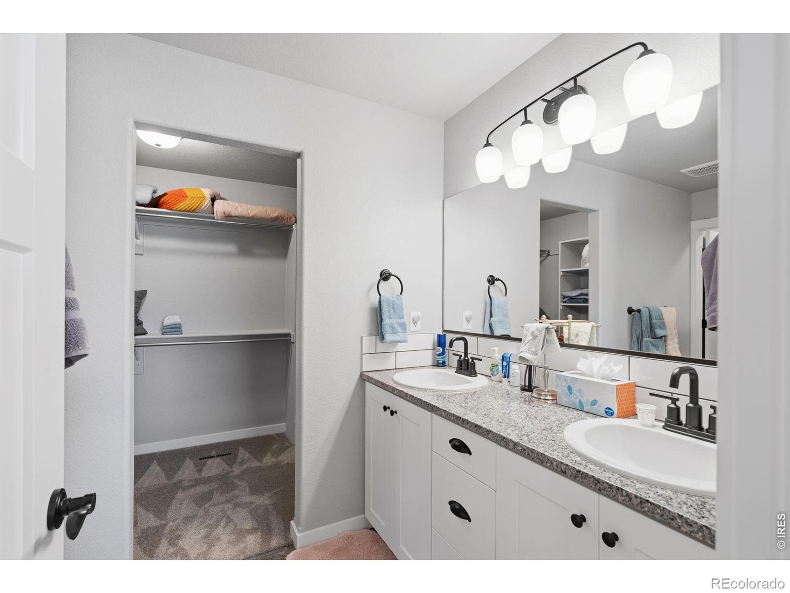 MLS Image #30 for 6902  cattails drive,wellington, Colorado