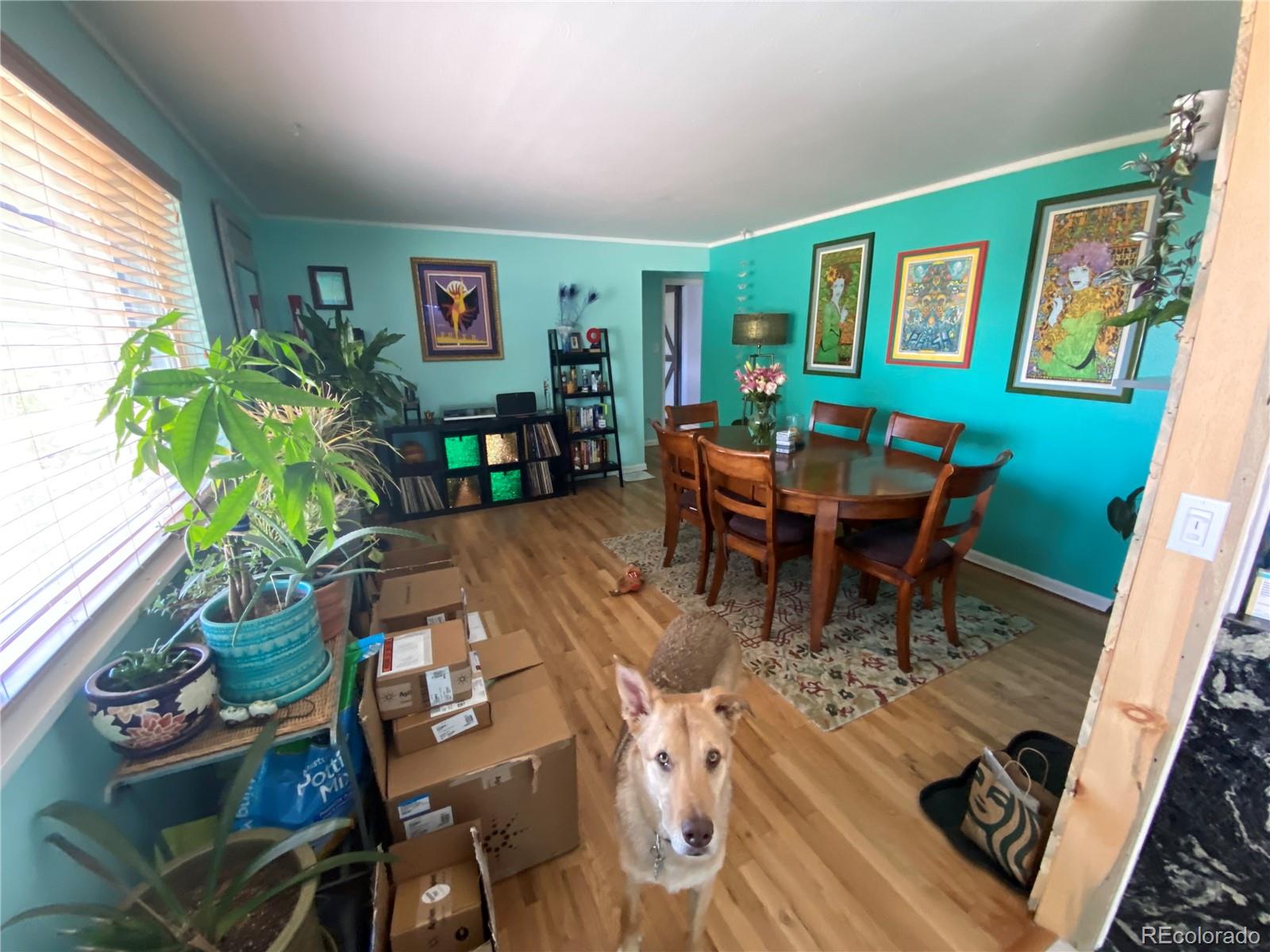 MLS Image #22 for 6668  chase street,arvada, Colorado