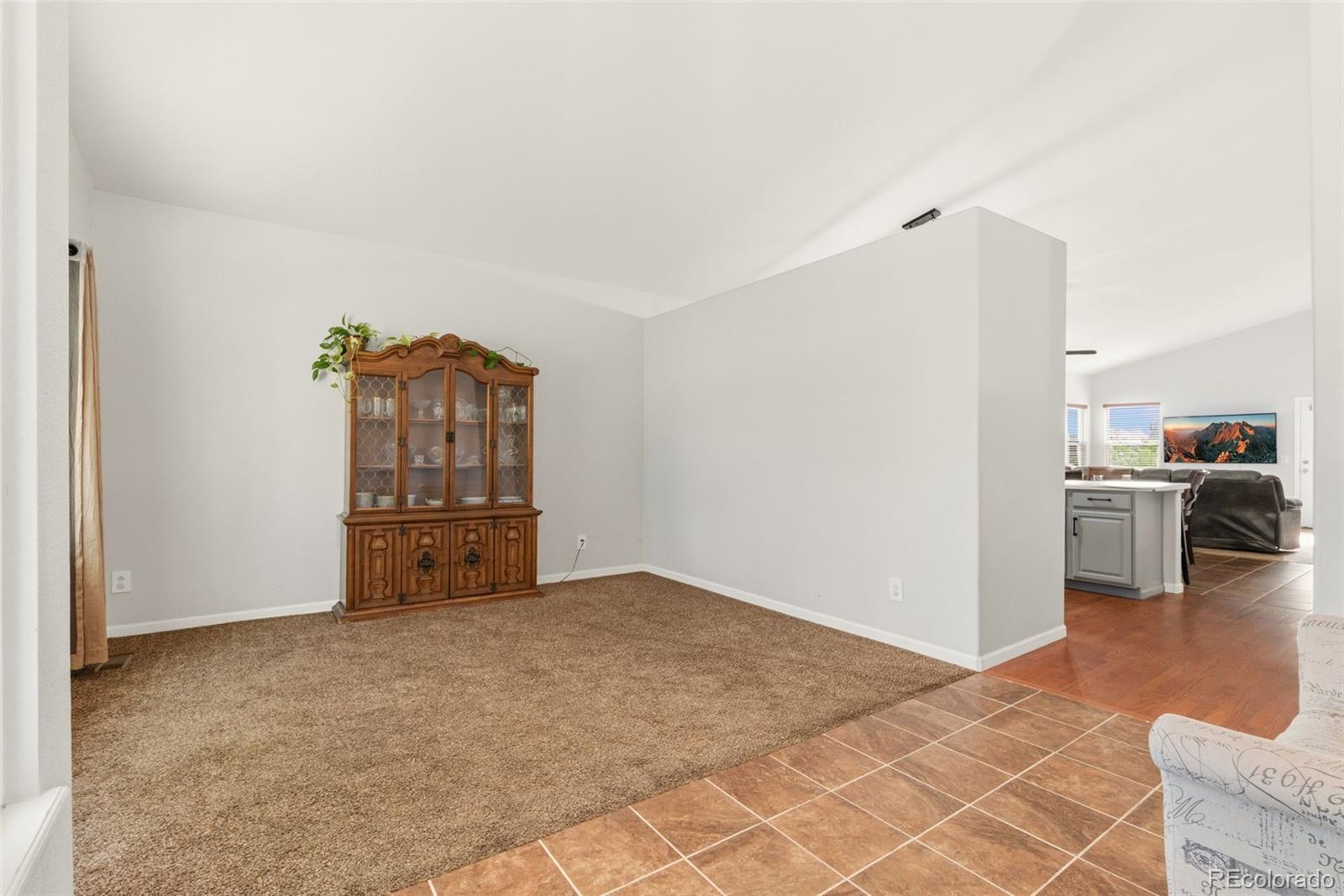 MLS Image #5 for 12300  locust street,brighton, Colorado