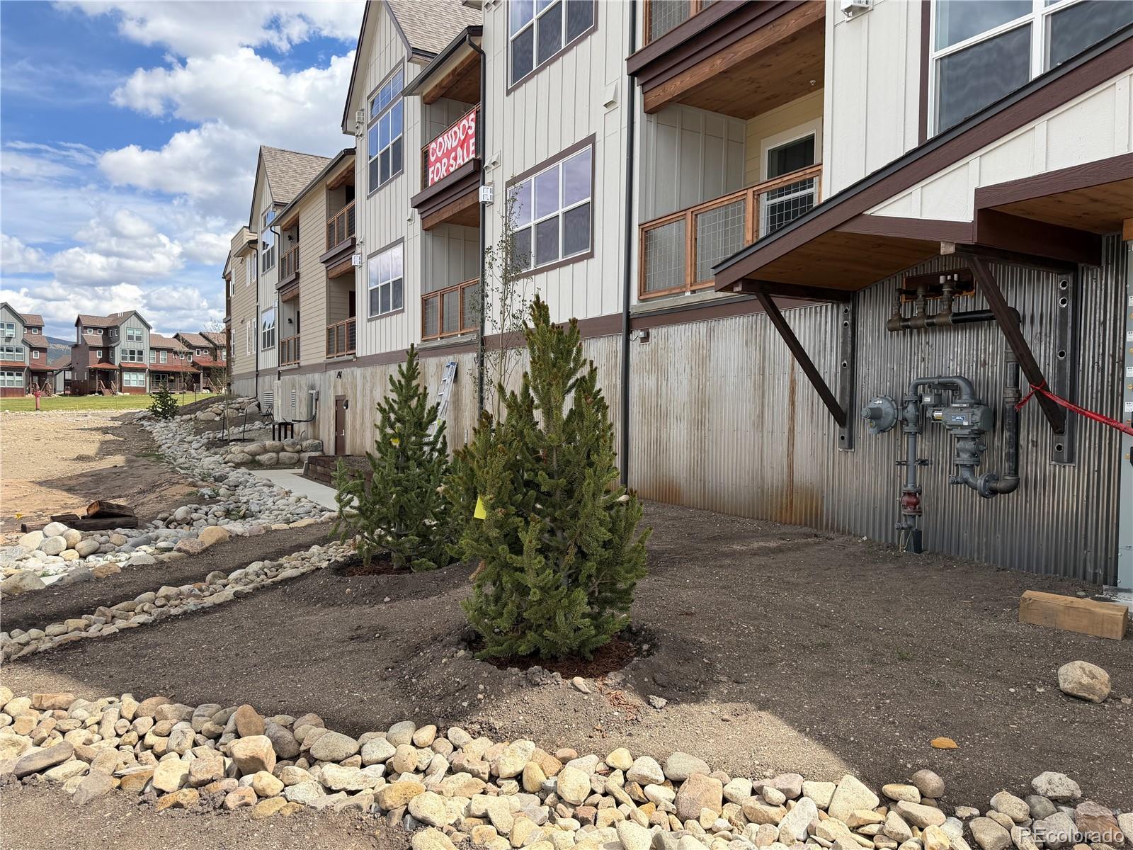 MLS Image #14 for 309  grand review drive,leadville, Colorado