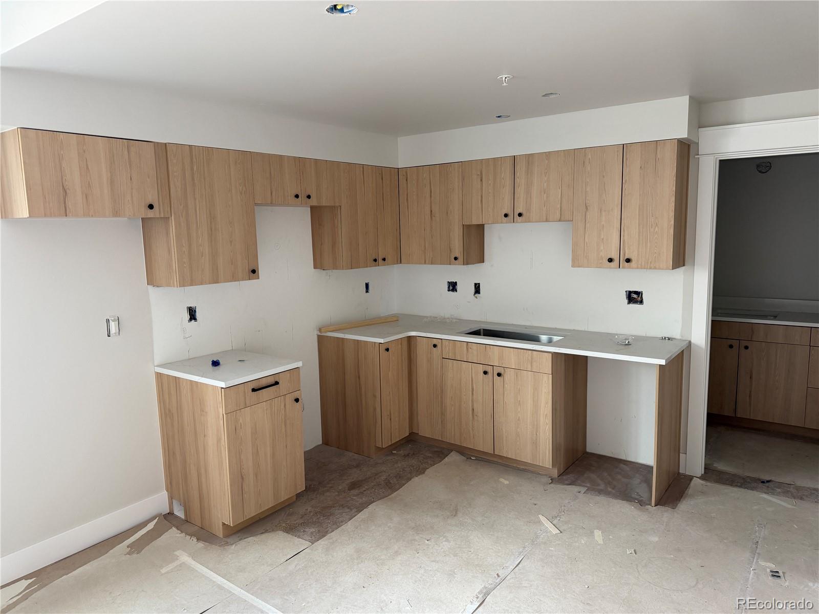 MLS Image #7 for 309  grand review drive,leadville, Colorado
