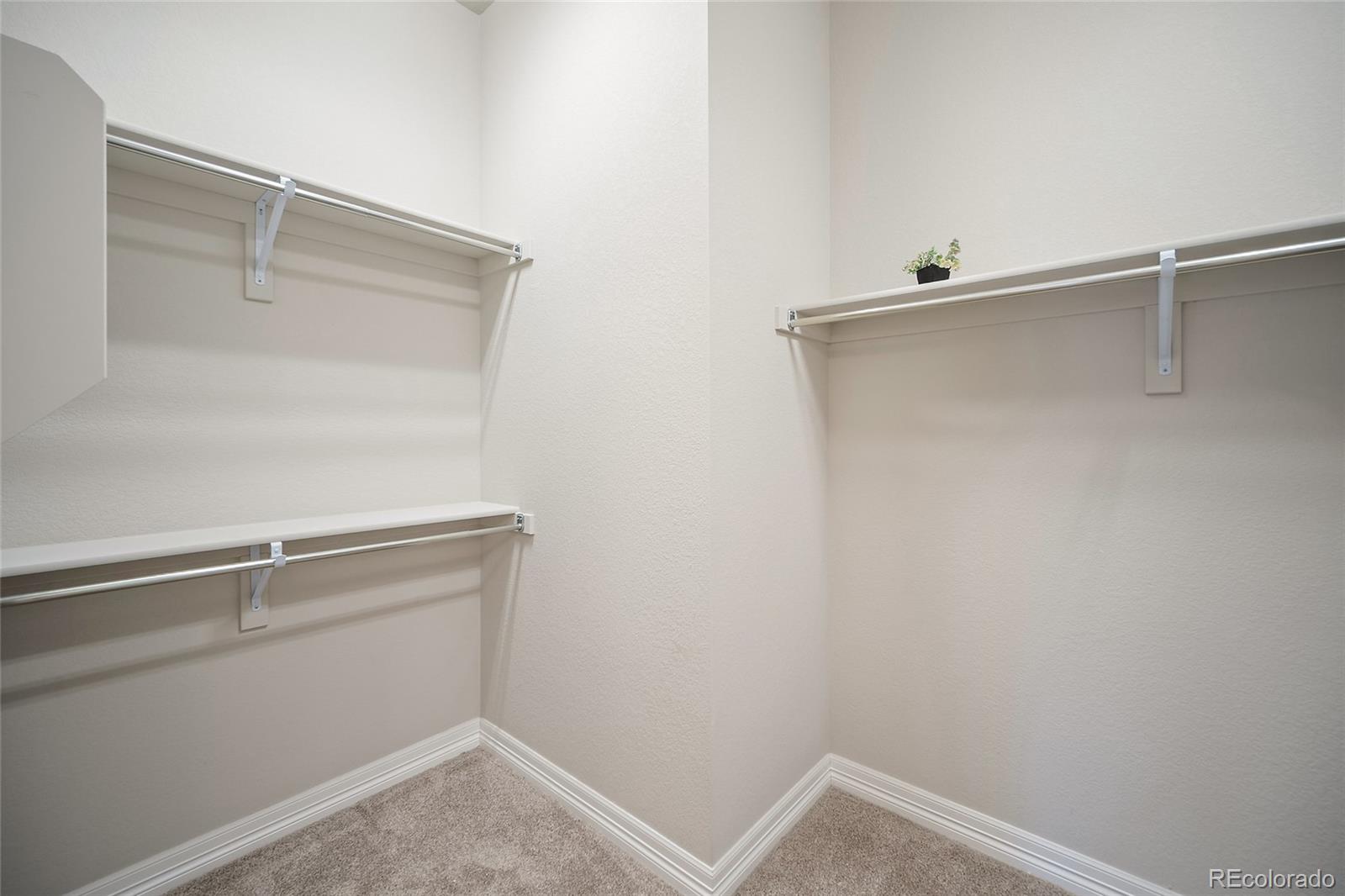 MLS Image #20 for 332  alumroot street,castle rock, Colorado