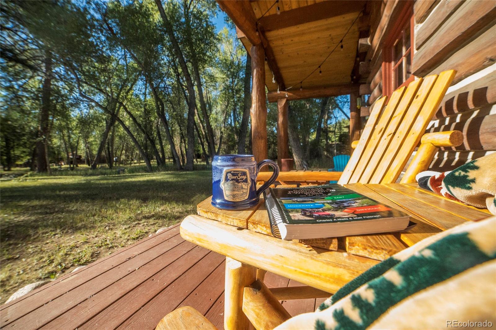 MLS Image #1 for 226 s san juan unit 10 avenue,buena vista, Colorado