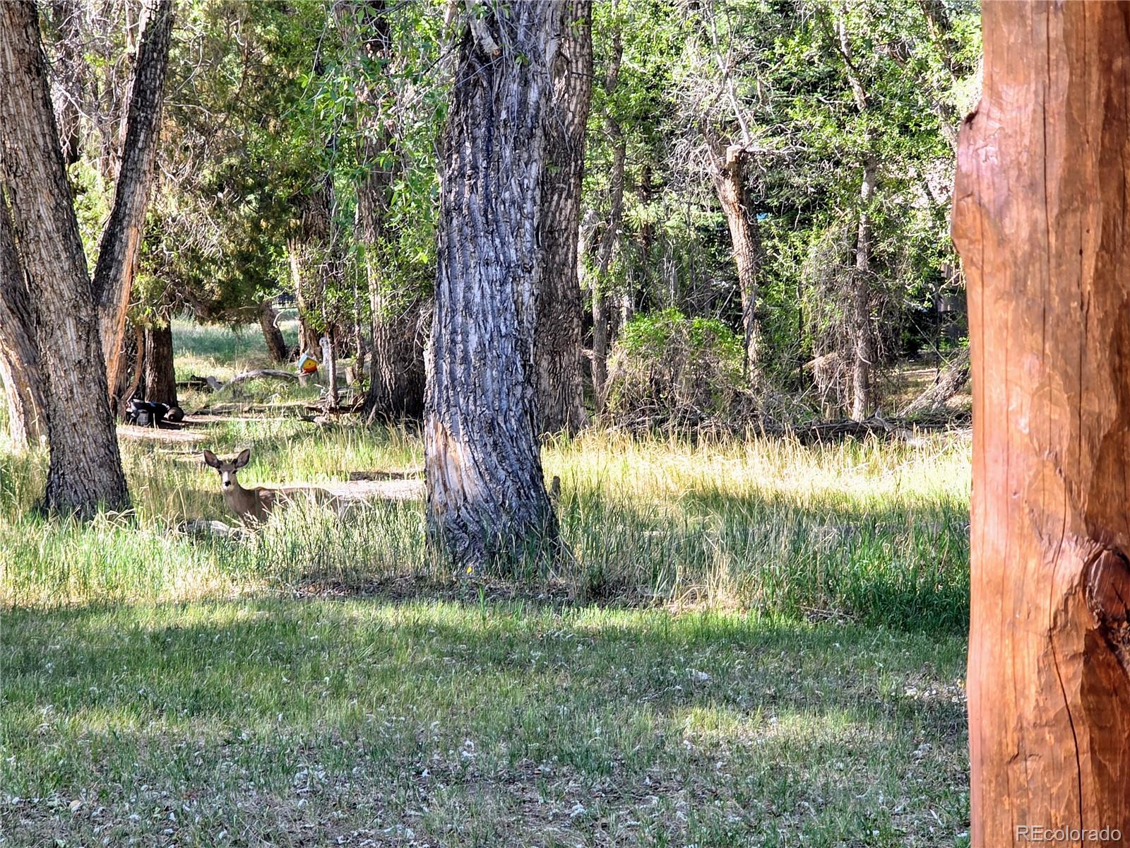 MLS Image #15 for 226 s san juan unit 10 avenue,buena vista, Colorado