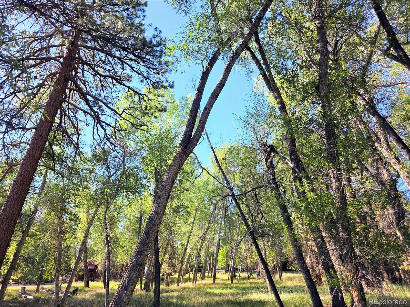 MLS Image #16 for 226 s san juan unit 10 avenue,buena vista, Colorado
