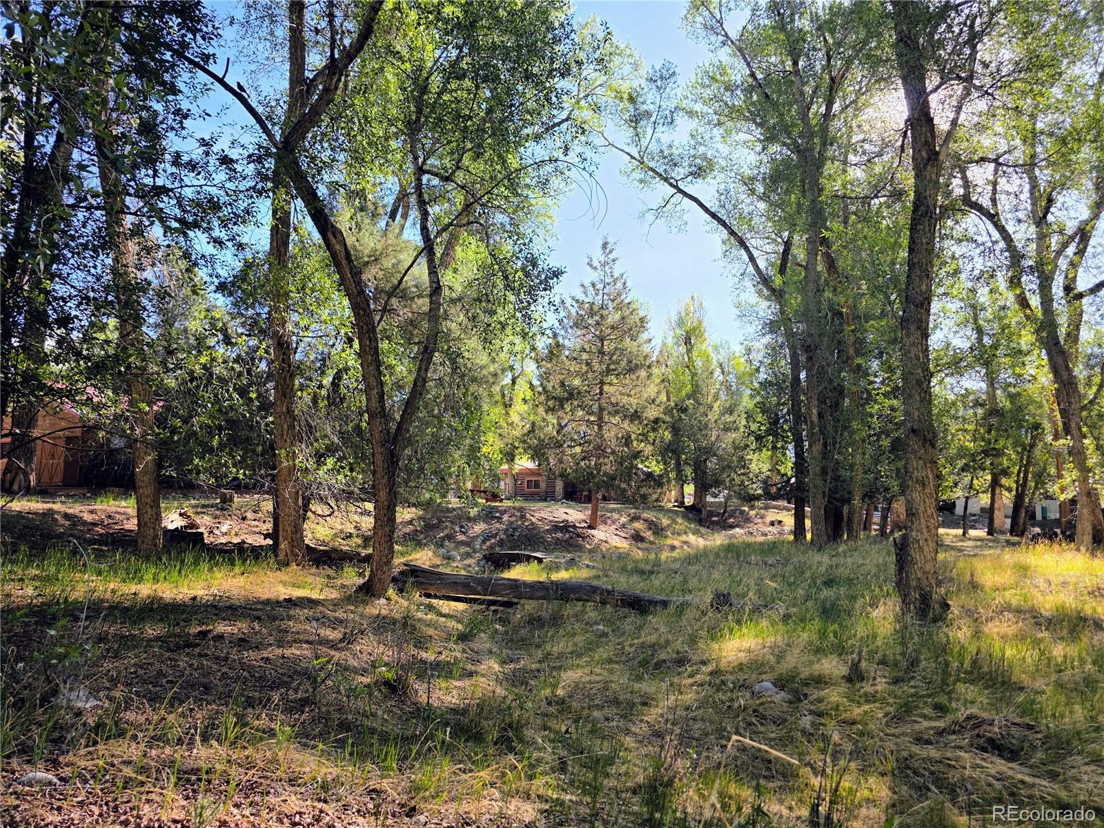 MLS Image #17 for 226 s san juan unit 10 avenue,buena vista, Colorado