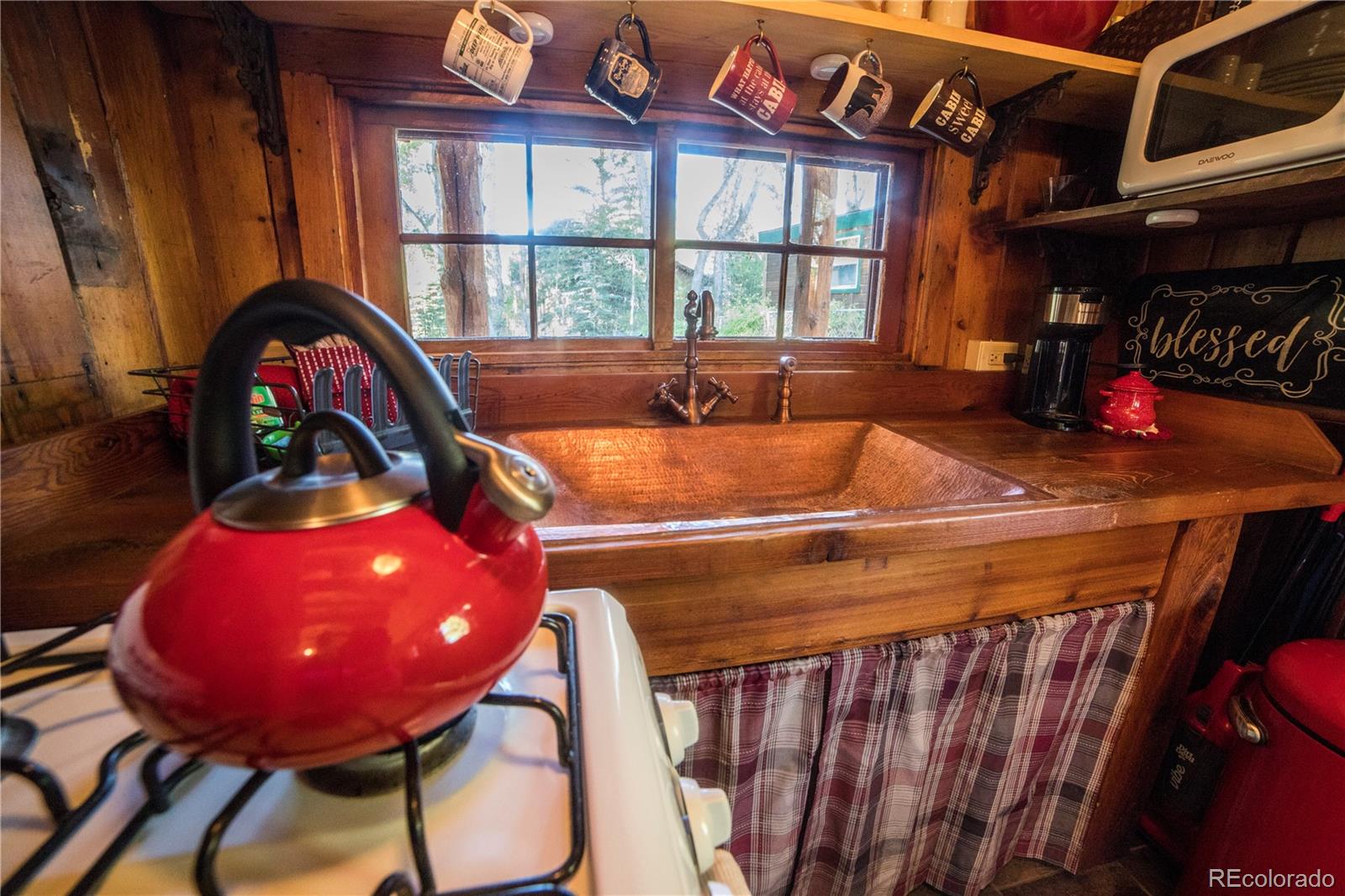 MLS Image #6 for 226 s san juan unit 10 avenue,buena vista, Colorado