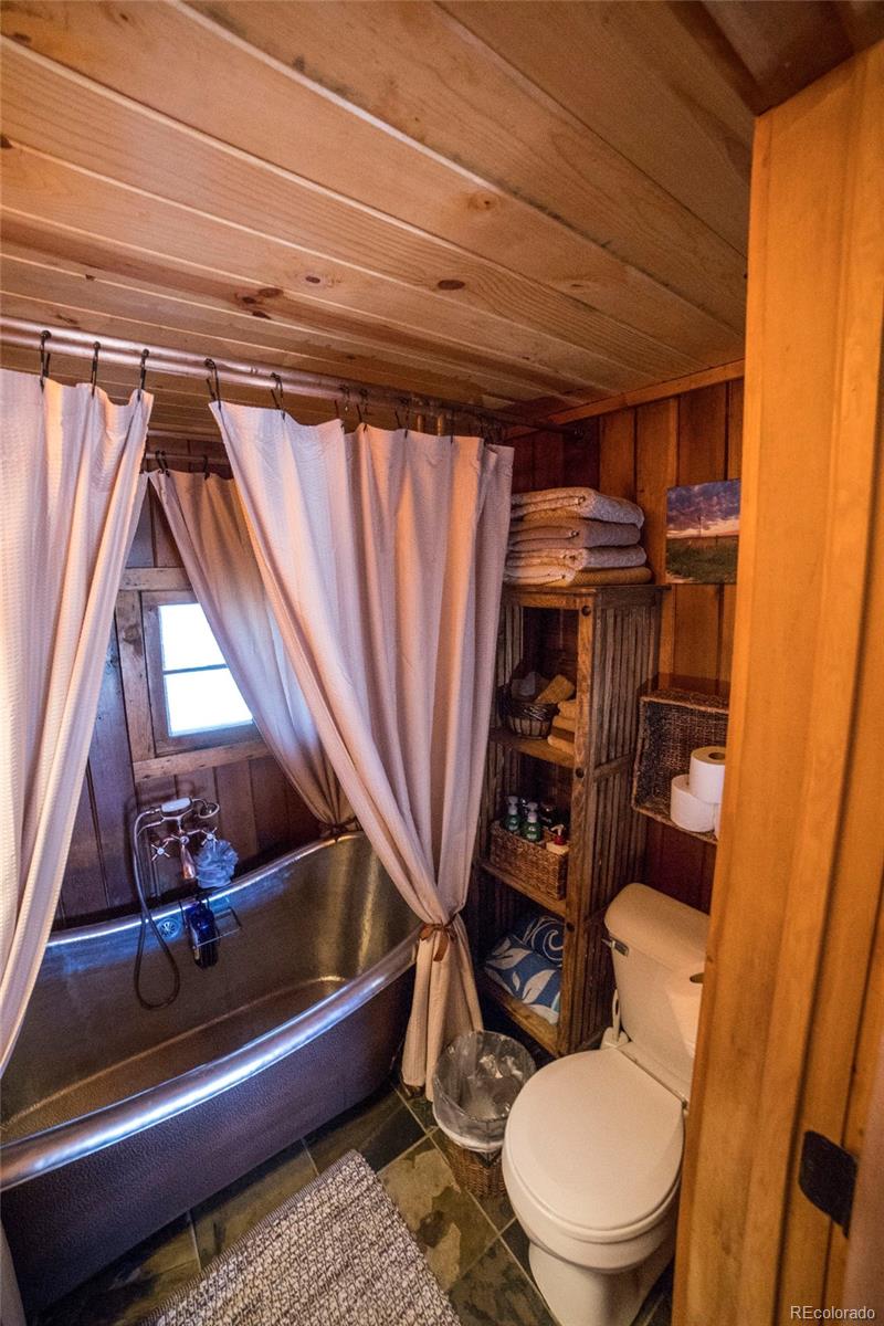 MLS Image #7 for 226 s san juan unit 10 avenue,buena vista, Colorado