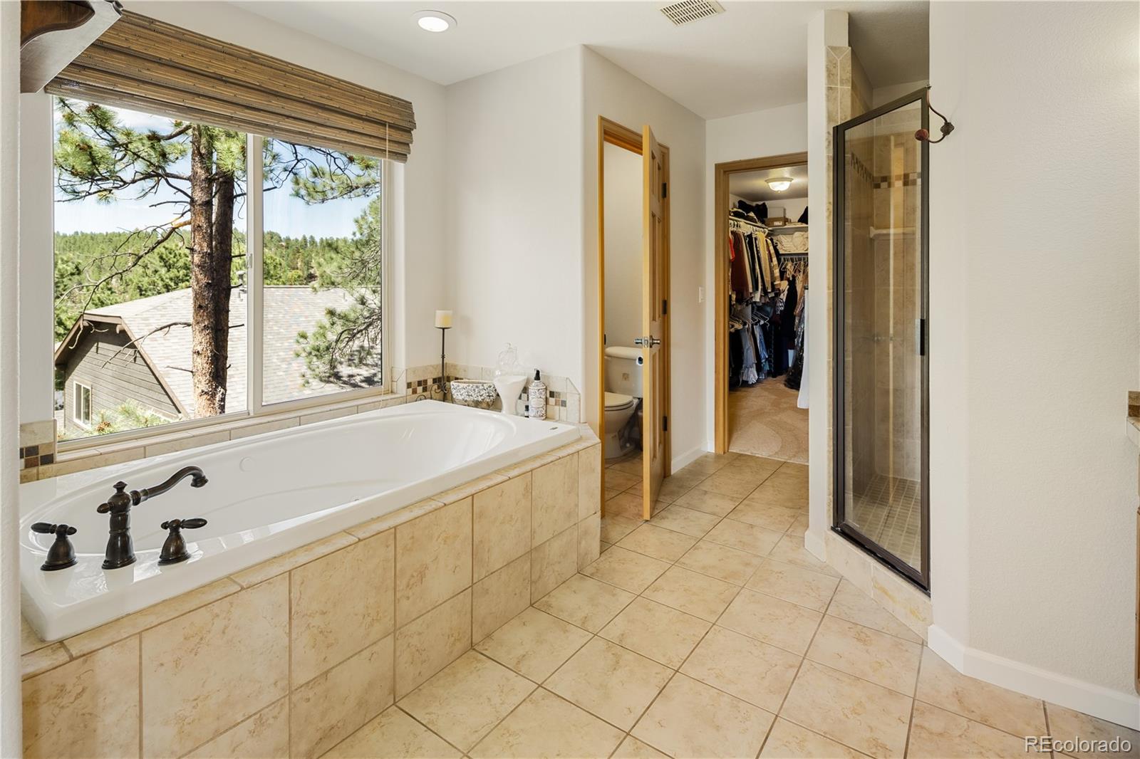 MLS Image #28 for 26215  sweetbriar trail,evergreen, Colorado