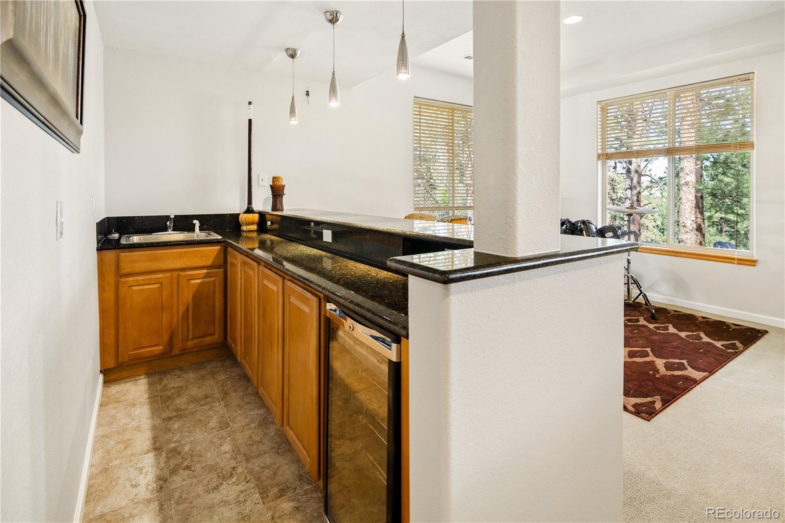 MLS Image #38 for 26215  sweetbriar trail,evergreen, Colorado