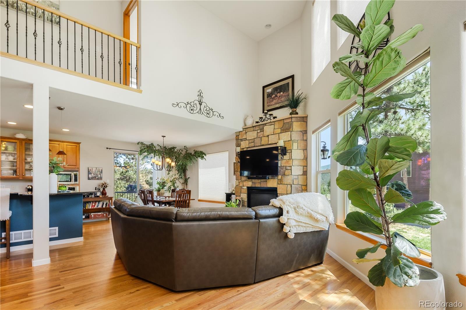MLS Image #8 for 26215  sweetbriar trail,evergreen, Colorado