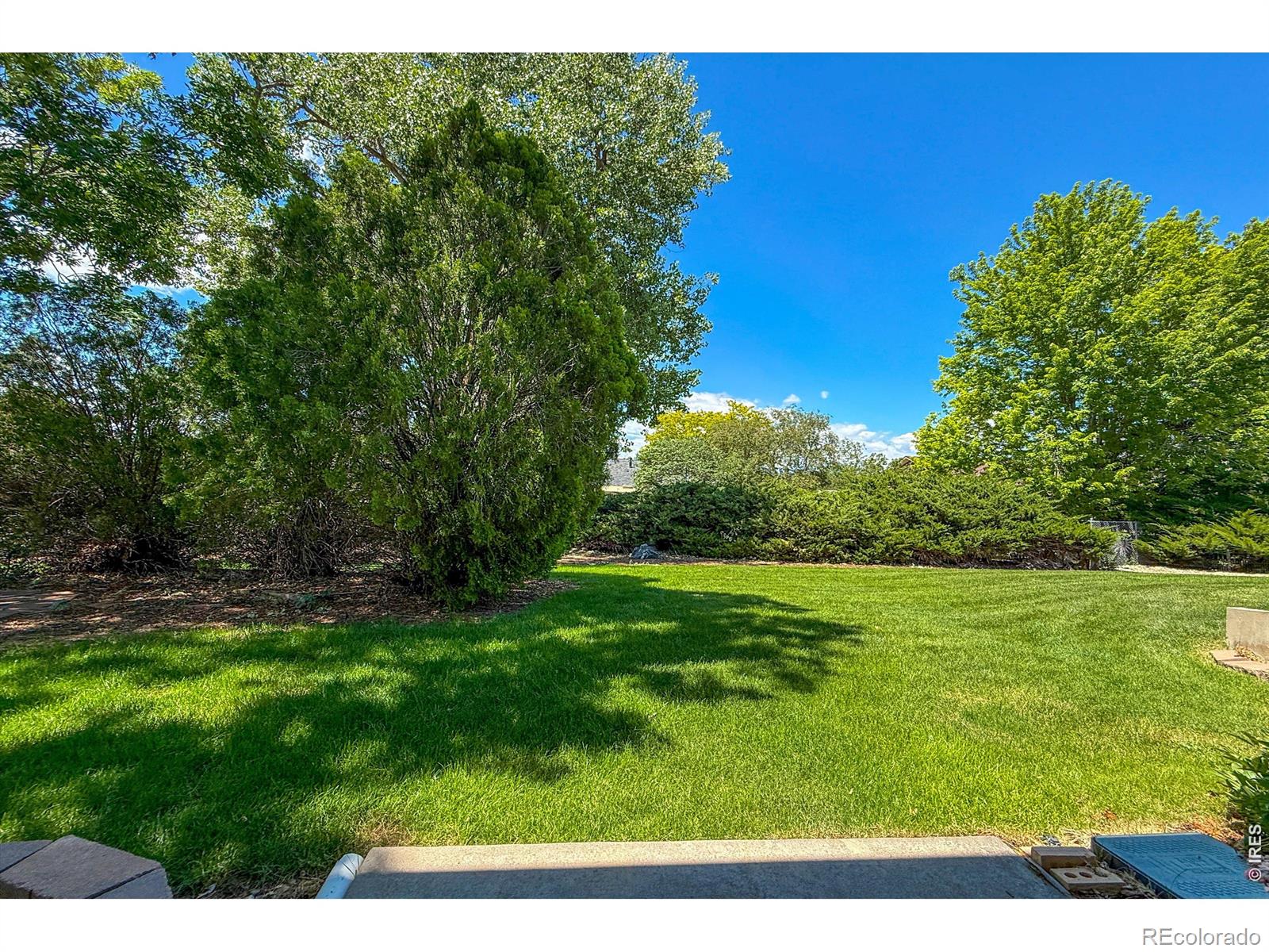 MLS Image #46 for 461  karsh drive,longmont, Colorado