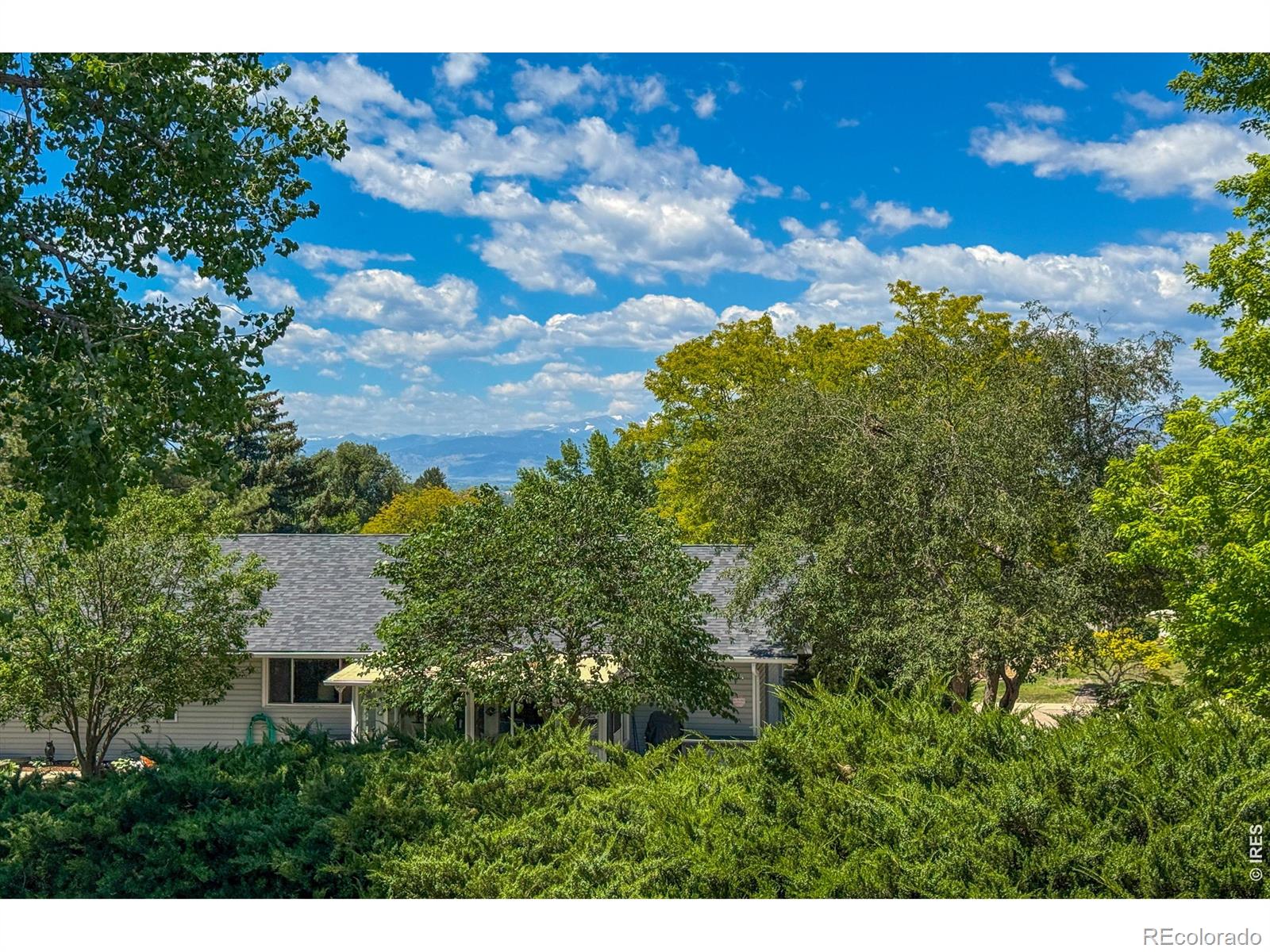 MLS Image #48 for 461  karsh drive,longmont, Colorado