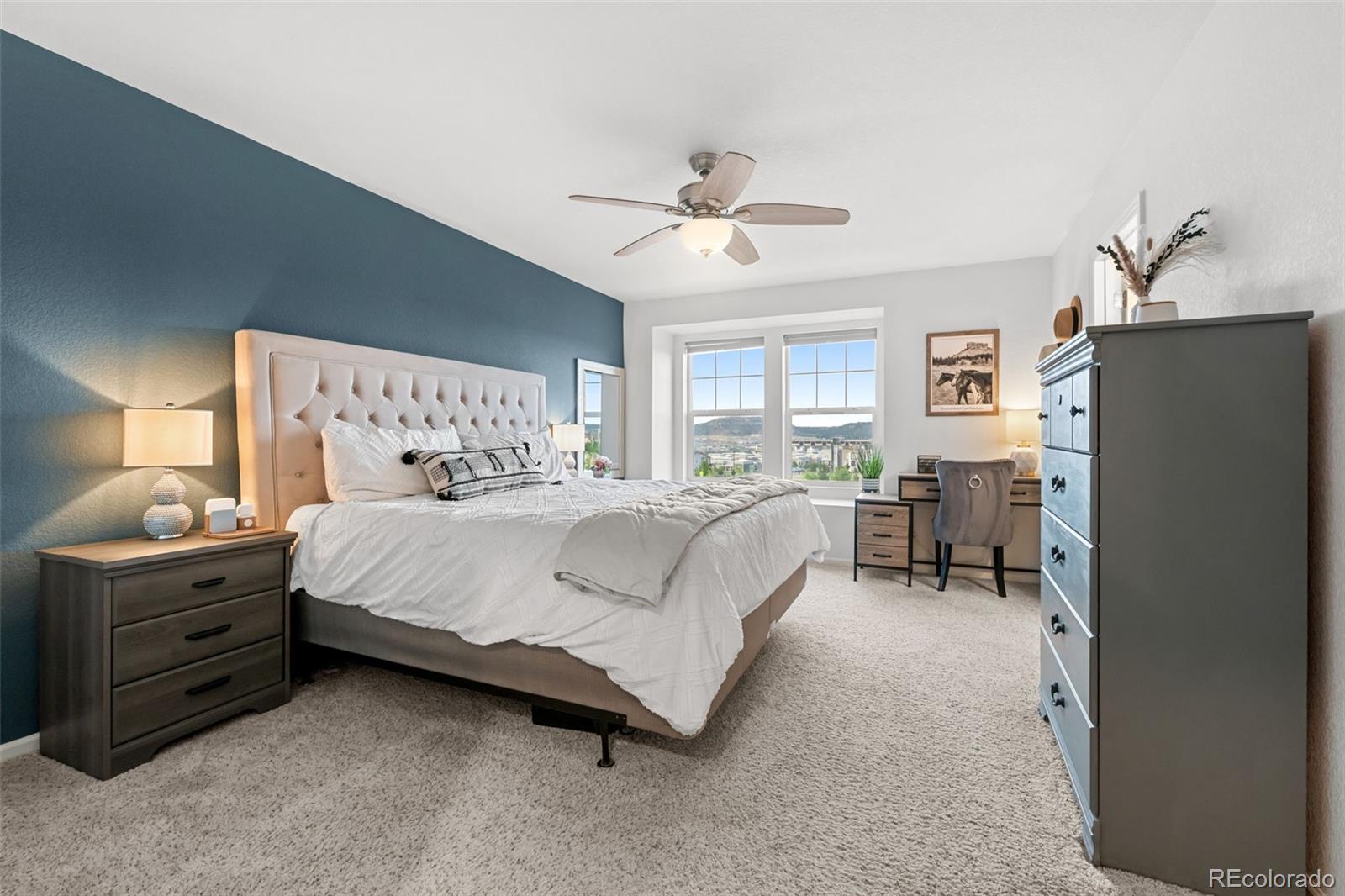 MLS Image #20 for 2928  low meadow boulevard,castle rock, Colorado