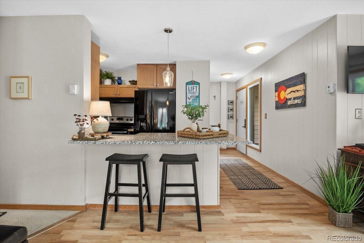 MLS Image #10 for 1473 e keystone road,dillon, Colorado