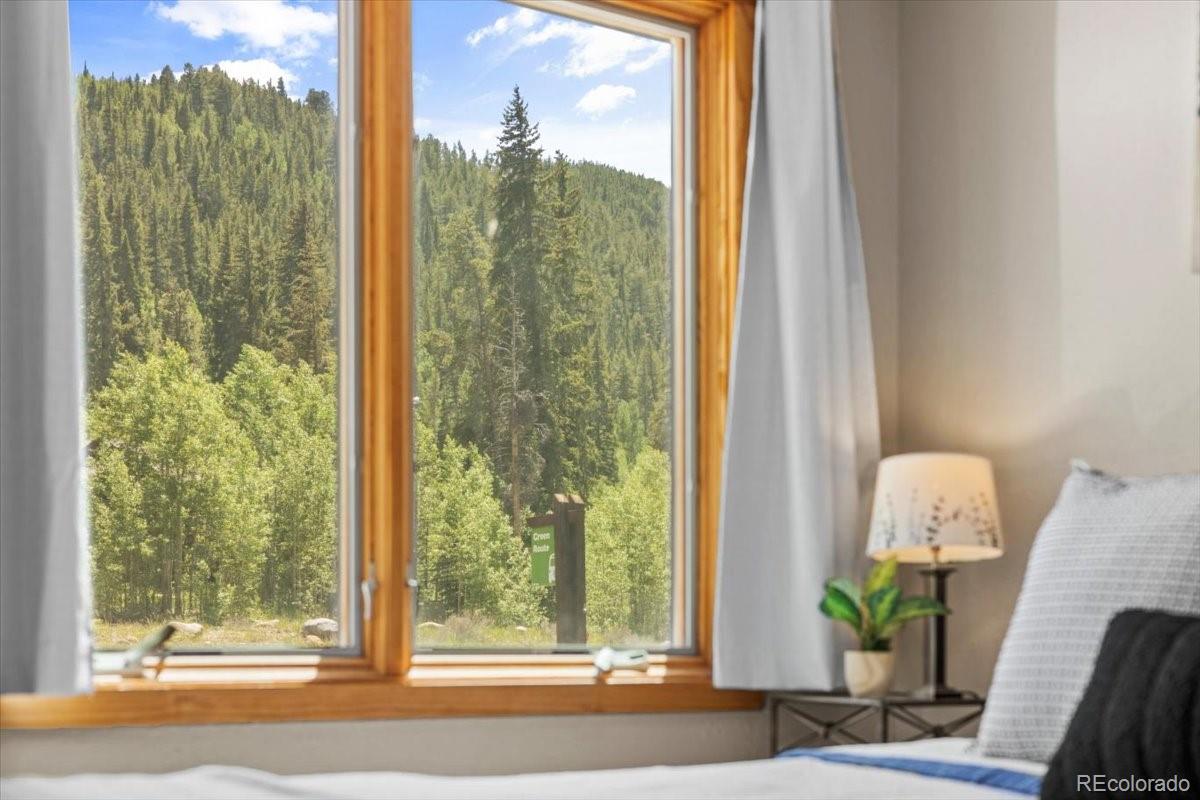MLS Image #25 for 1473 e keystone road,dillon, Colorado