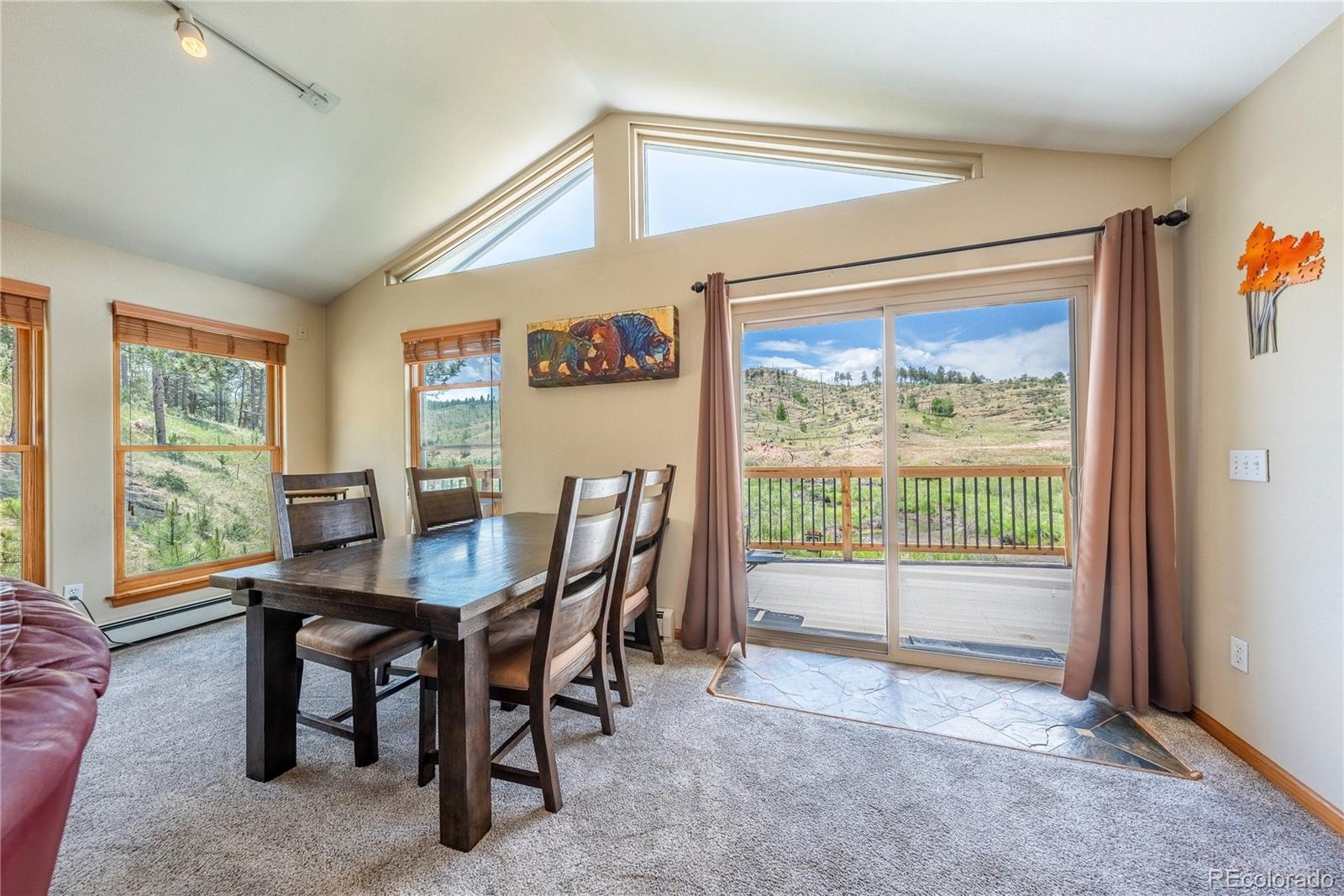 MLS Image #16 for 15970  willow way,woodland park, Colorado