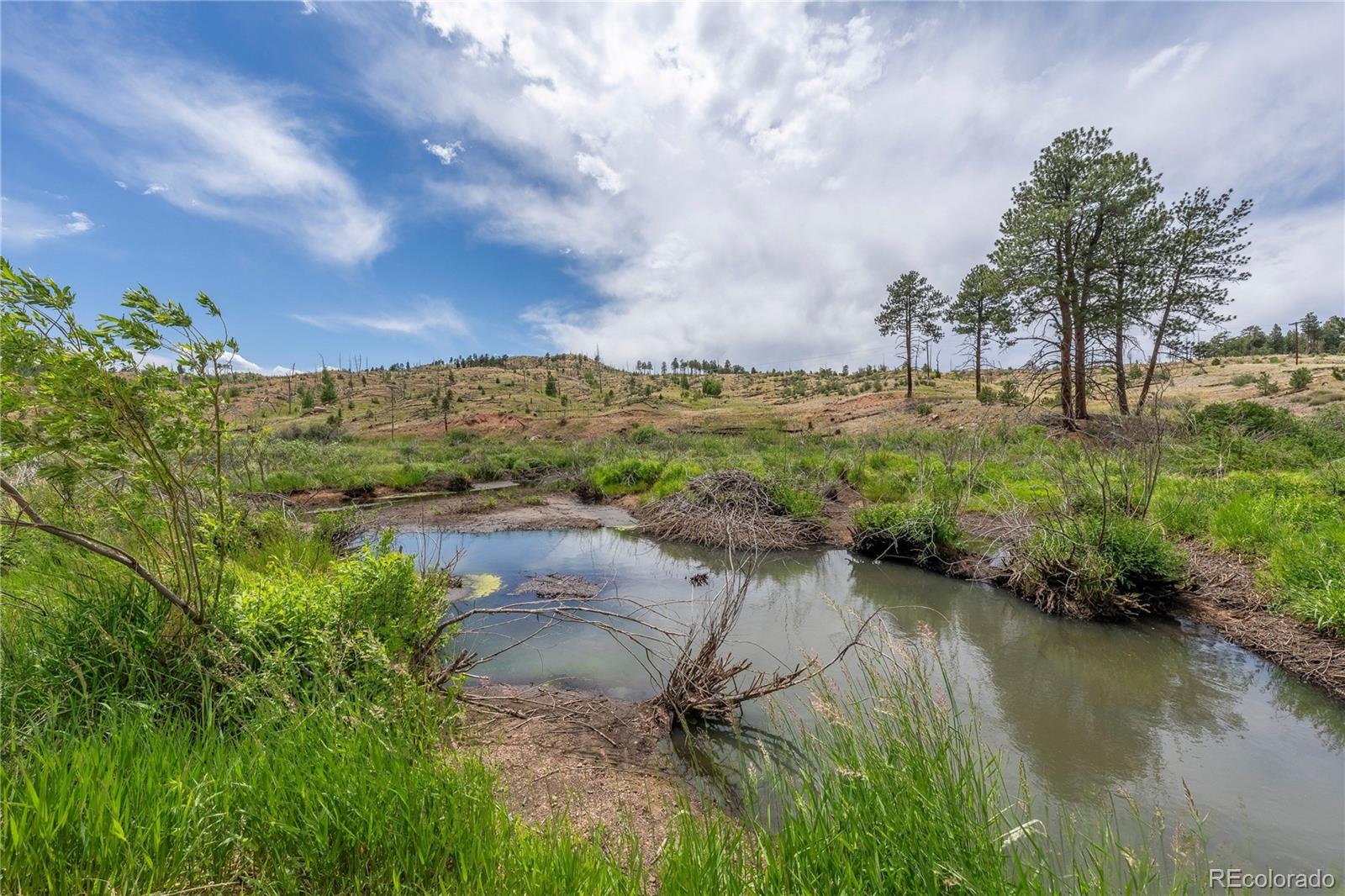 MLS Image #33 for 15970  willow way,woodland park, Colorado