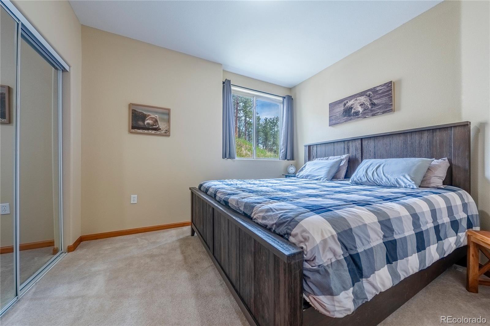 MLS Image #8 for 15970  willow way,woodland park, Colorado