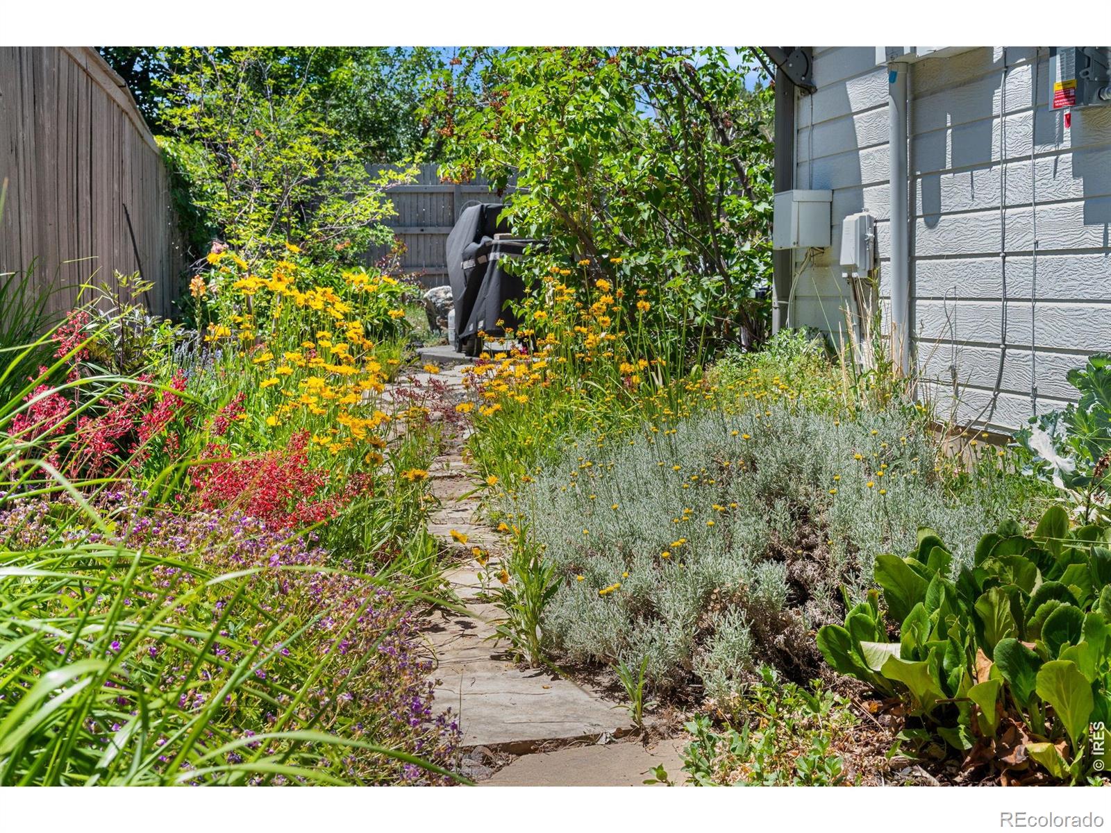 MLS Image #35 for 405  orchard drive,louisville, Colorado