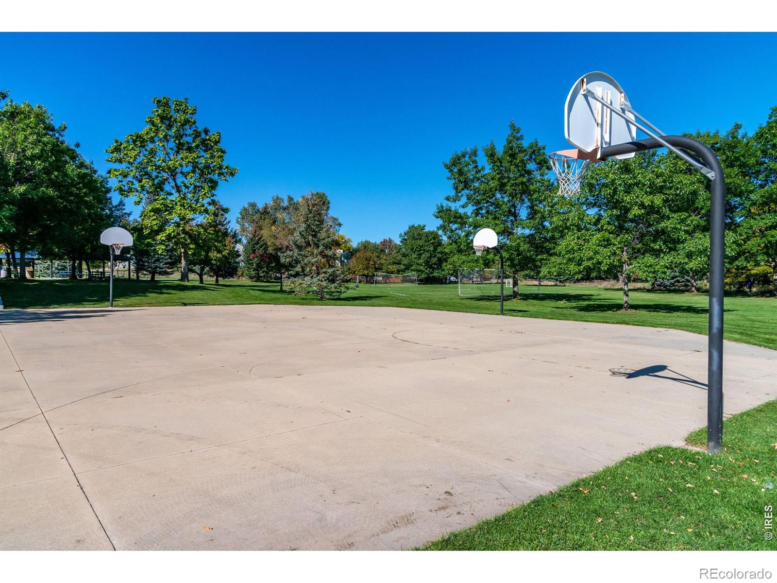 MLS Image #43 for 405  orchard drive,louisville, Colorado