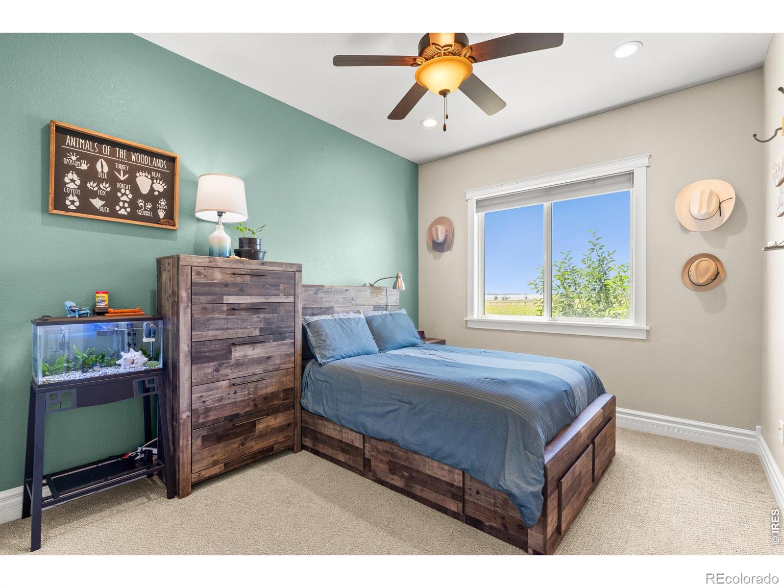 MLS Image #24 for 6558 n county road 11c ,loveland, Colorado