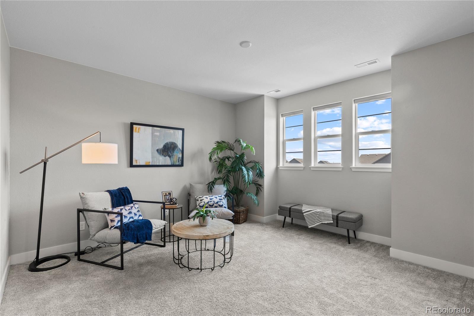 MLS Image #31 for 6485  saddlesmith street,castle pines, Colorado