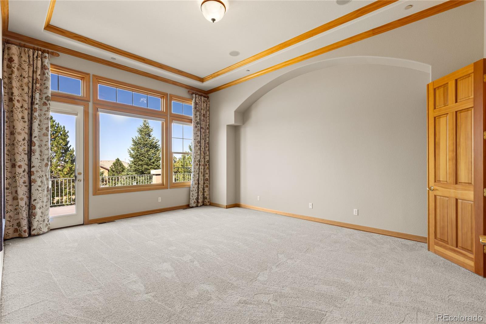 MLS Image #18 for 6127  maroon peak place,castle rock, Colorado