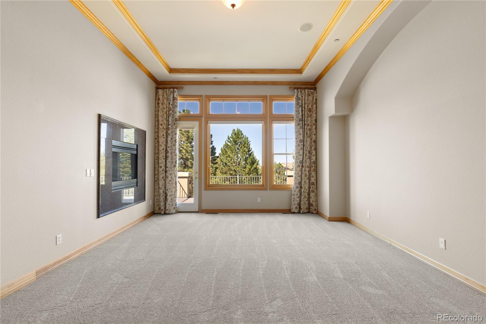 MLS Image #19 for 6127  maroon peak place,castle rock, Colorado