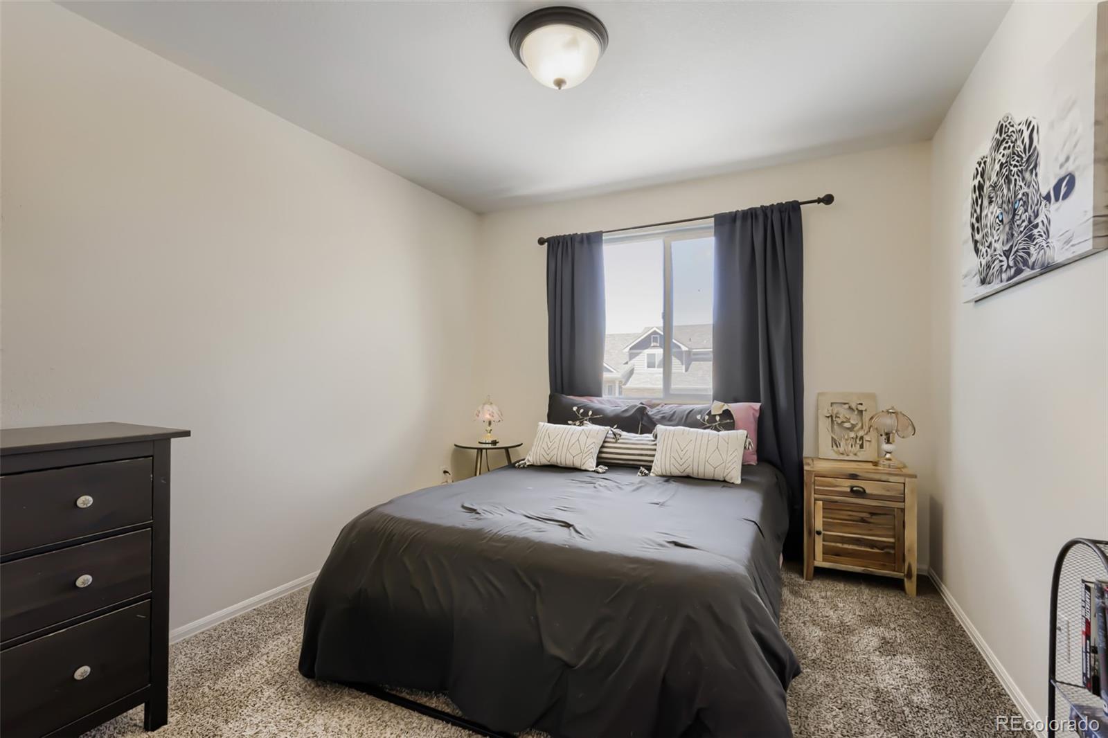 MLS Image #18 for 1519  new season drive,windsor, Colorado