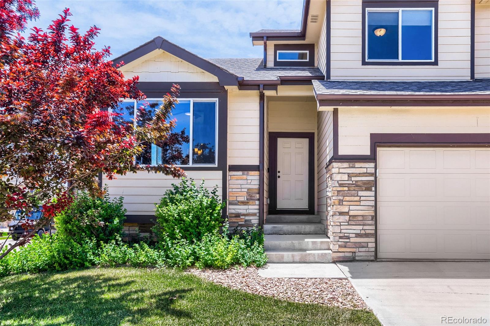MLS Image #2 for 1519  new season drive,windsor, Colorado