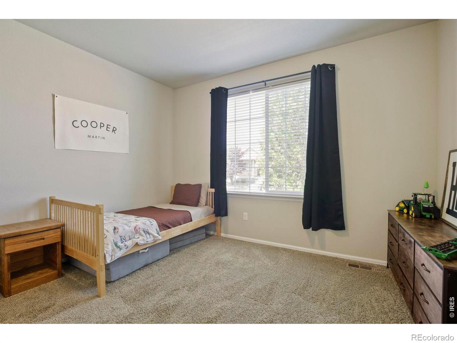 MLS Image #17 for 374  mt bross avenue,severance, Colorado