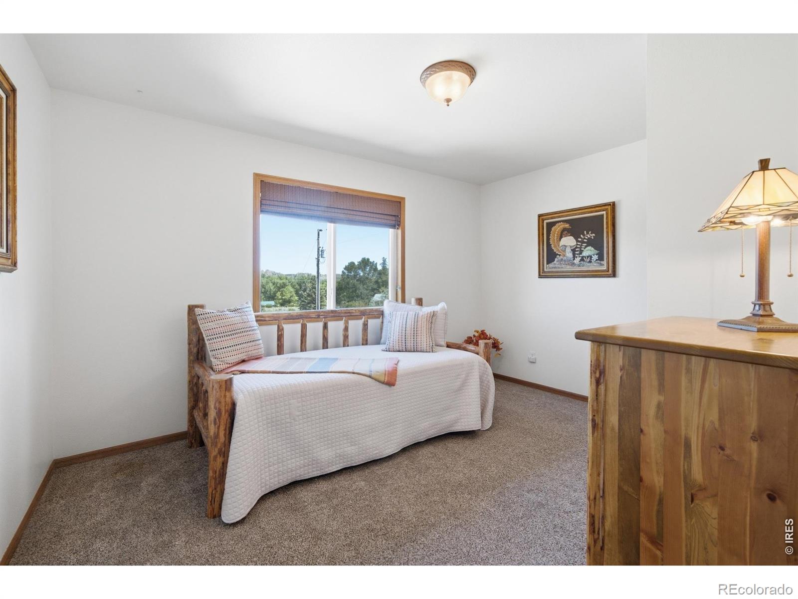 MLS Image #21 for 3101  escondido drive,loveland, Colorado