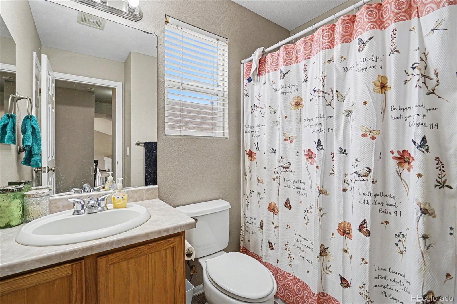 MLS Image #17 for 245  homestead way,brighton, Colorado
