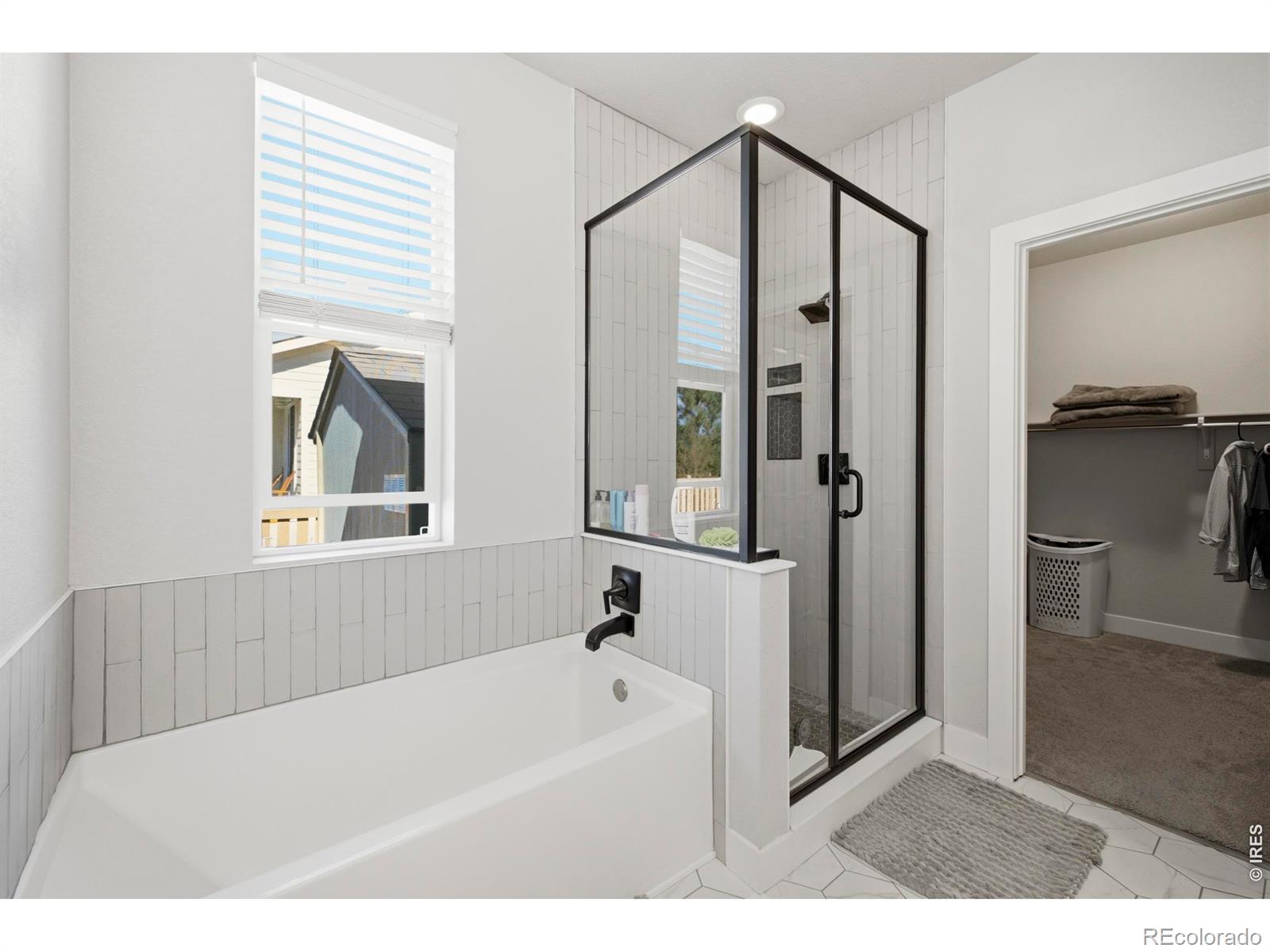 MLS Image #19 for 6399  verna court,timnath, Colorado
