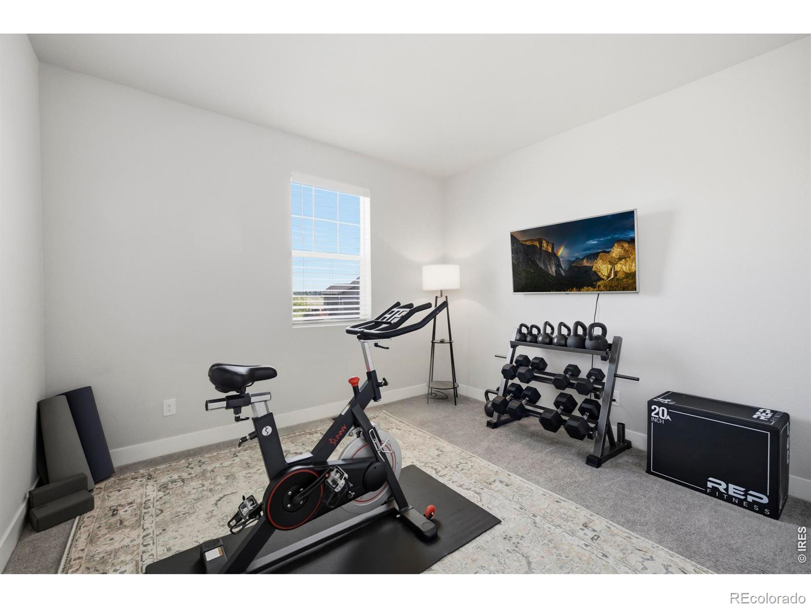 MLS Image #28 for 6399  verna court,timnath, Colorado