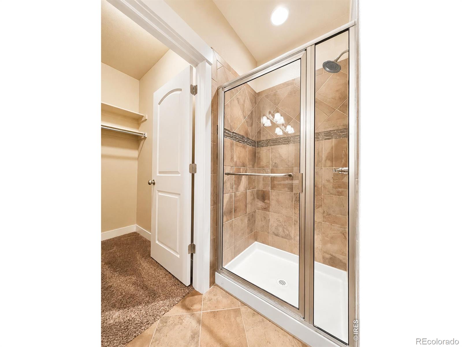 MLS Image #12 for 3826  steelhead street,fort collins, Colorado
