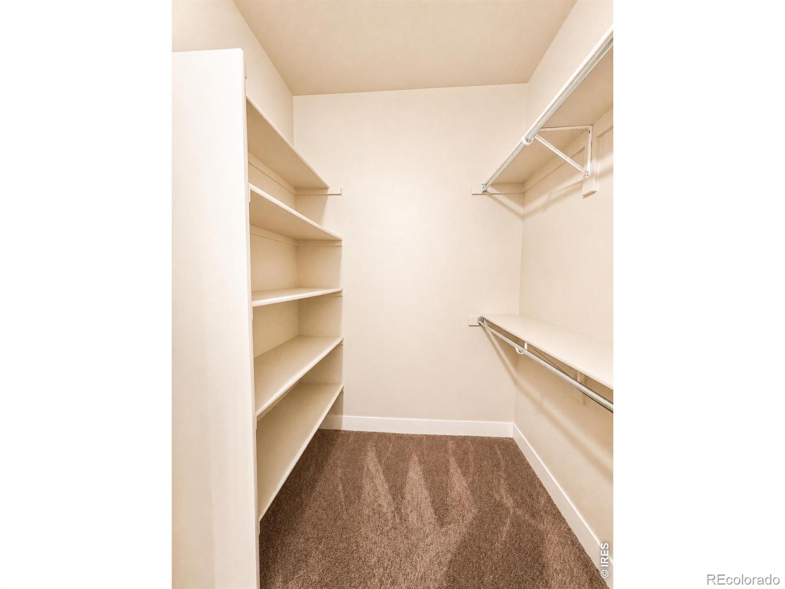 MLS Image #19 for 3826  steelhead street,fort collins, Colorado