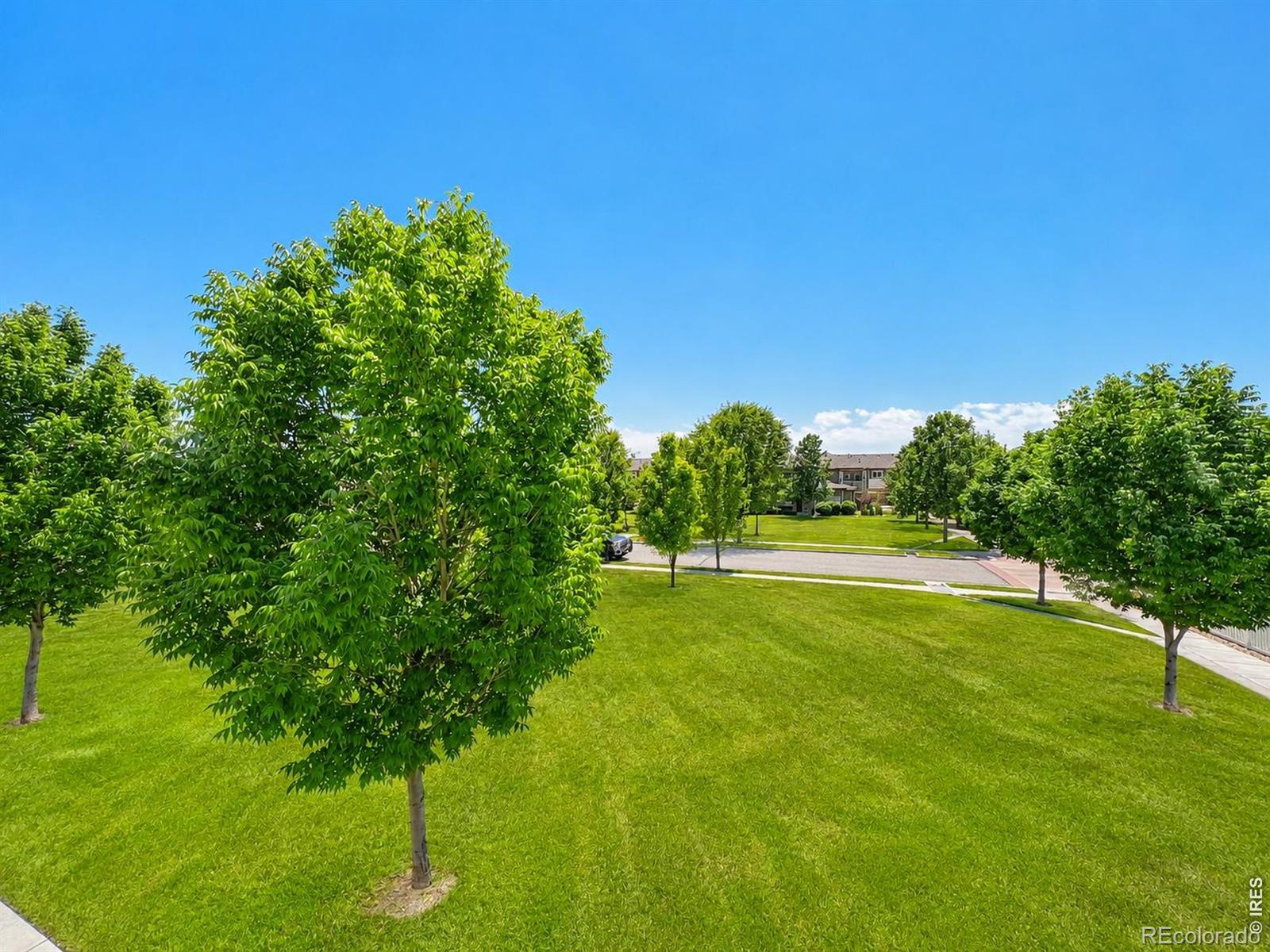 MLS Image #32 for 3826  steelhead street,fort collins, Colorado