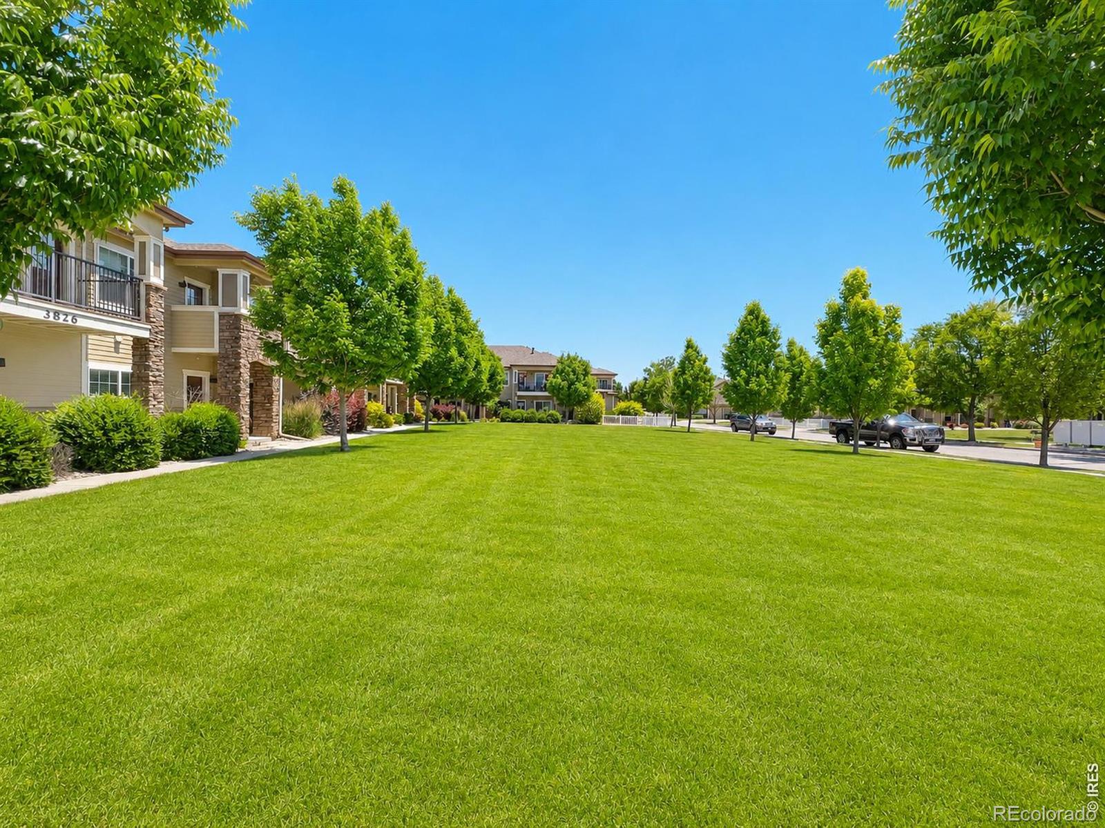 MLS Image #33 for 3826  steelhead street,fort collins, Colorado