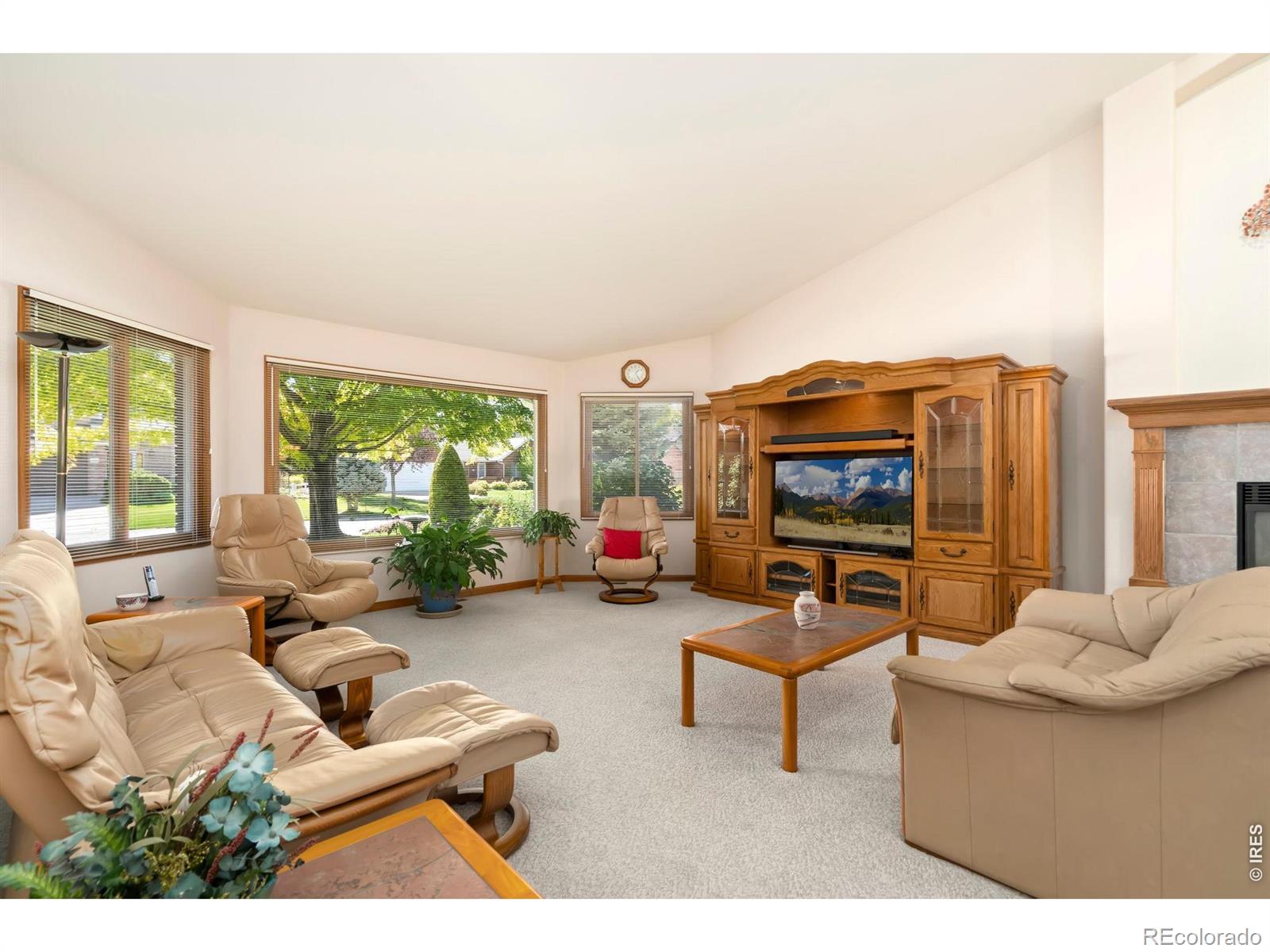 MLS Image #12 for 2238  breckenridge drive,berthoud, Colorado